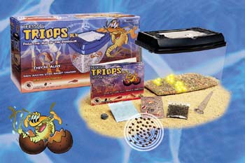Triops