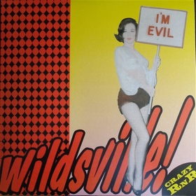 VARIOUS ARTISTS - Wildsville!