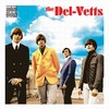 DEL-VETTS