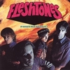 FLESHTONES