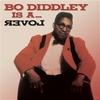 BO DIDDLEY