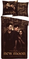 Twilight