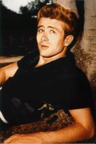 James Dean - unterm Baum liegend