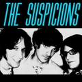 SUSPICIONS - Suspicions