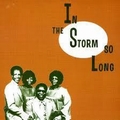 VARIOUS ARTISTS - In The Storm So Long