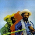 LEE PERRY - Heart Of The Ark Vol 2