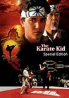 KARATE KID SPECIAL EDITION (DVD)