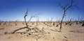 Fototapete Outback Vlies - Hinterland - Panorama