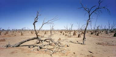 Fototapete Outback Vlies - Hinterland - Panorama - Klicken f�r gr�ssere Ansicht
