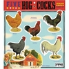FIVE BIG COCKS MAGNET SET